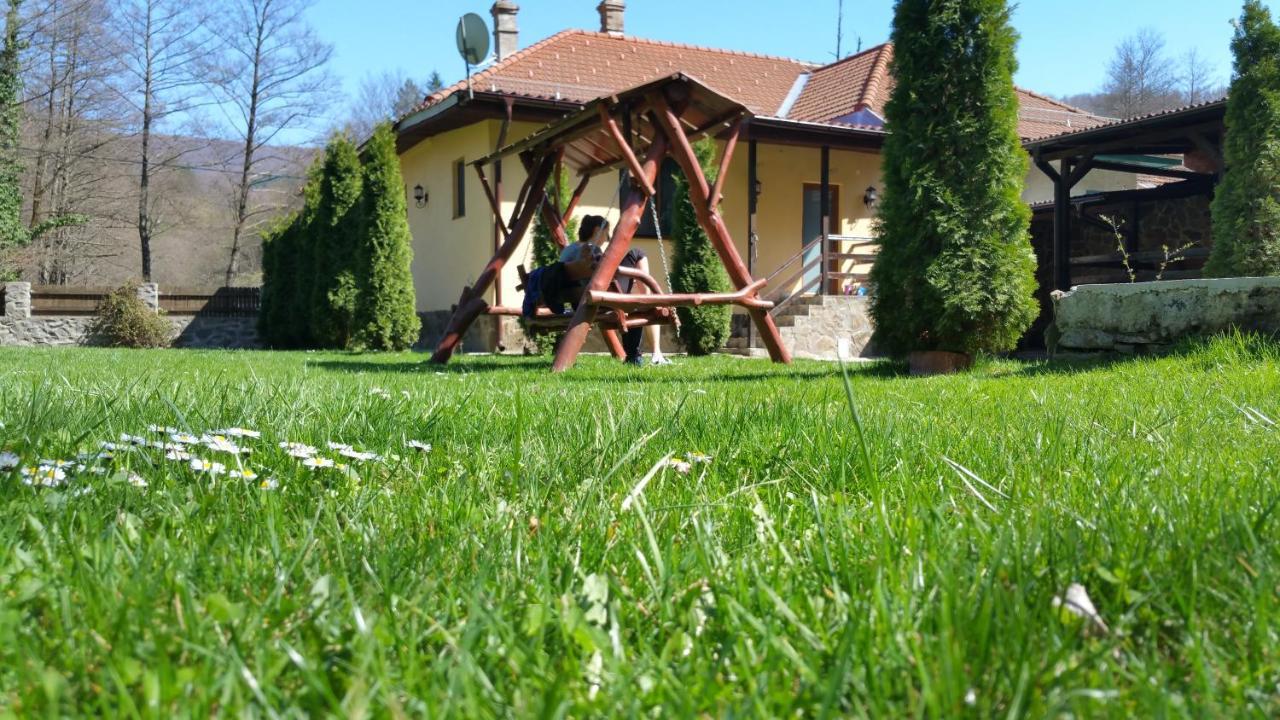 Casa Alex Villa Văliug Exterior photo