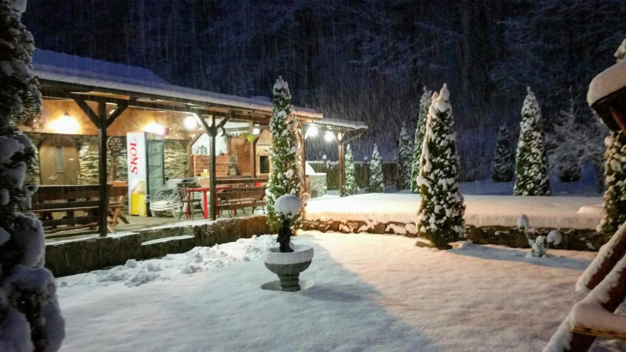 Casa Alex Villa Văliug Exterior photo
