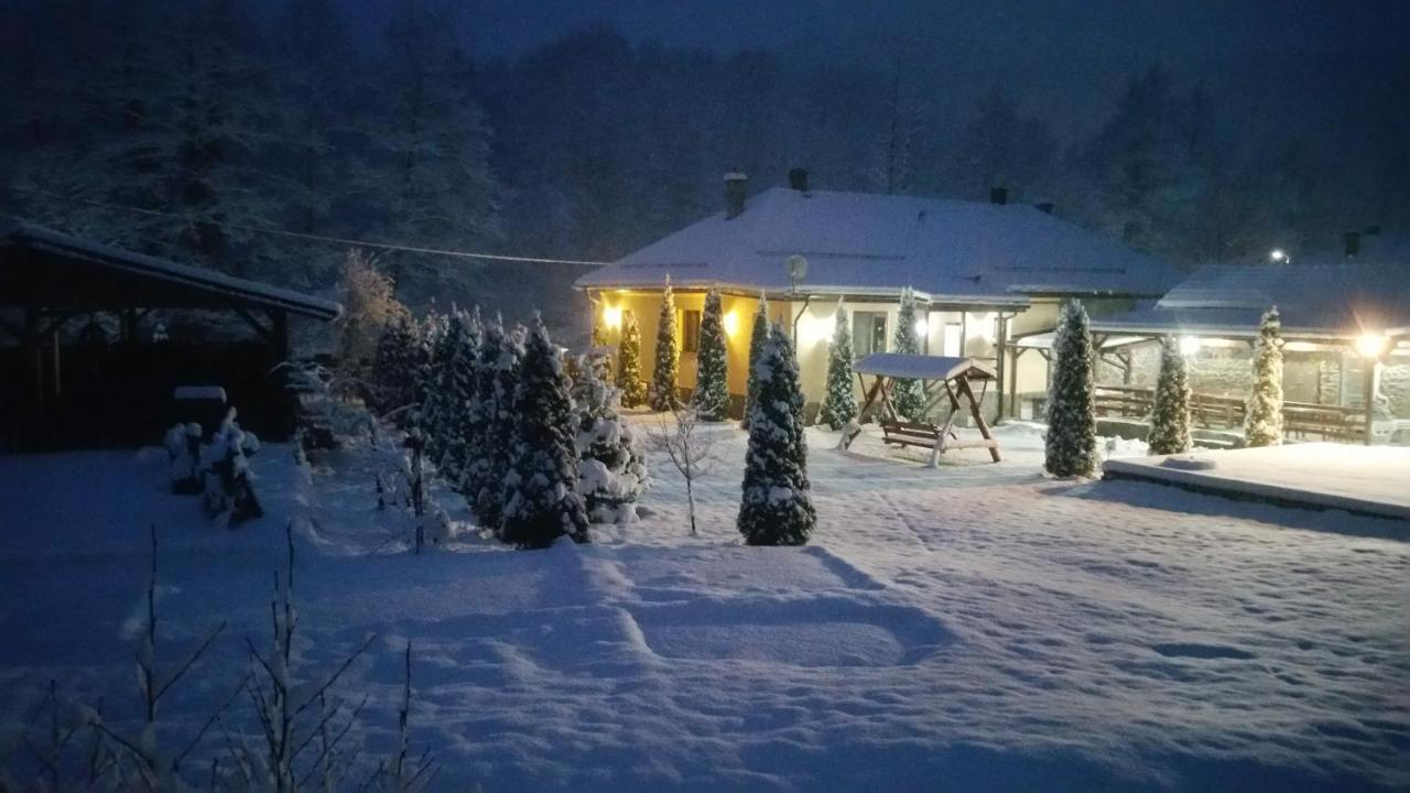 Casa Alex Villa Văliug Exterior photo
